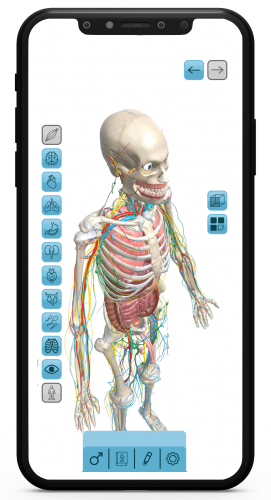 App VITA3D. Explora el Cuerpo Humano en 3D