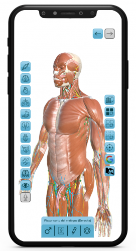App VITA3D. Explora el Cuerpo Humano en 3D